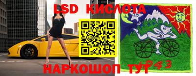 спайс Канаш