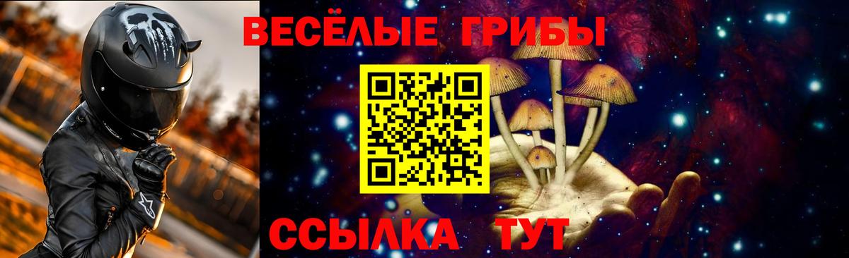 Красноармейск  Галлюциногенные грибы Magic Shrooms  Вход с VPN 